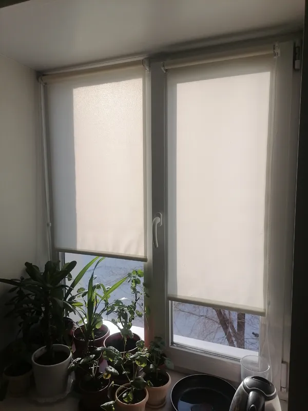 Роллета ШАНТУНГ УЮТ 52*175 Белый